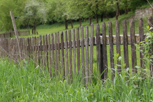 wooden fence / Fragment of a wooden fence concept for Common Easement Takings in North Carolina.